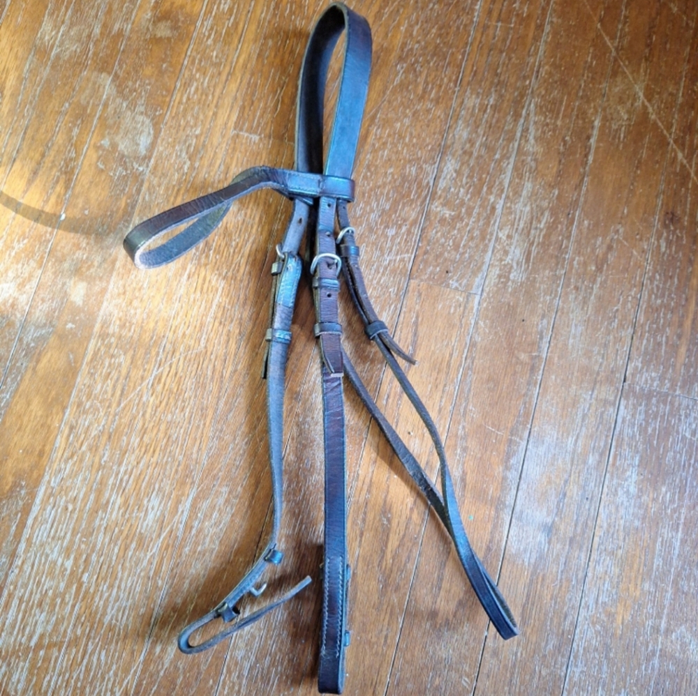 English horse and riding tack